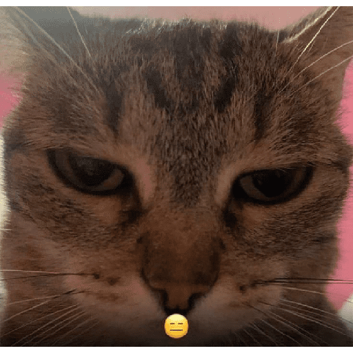 GATOS/CATS 9