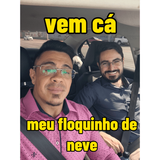 Minhas figurinhas 25