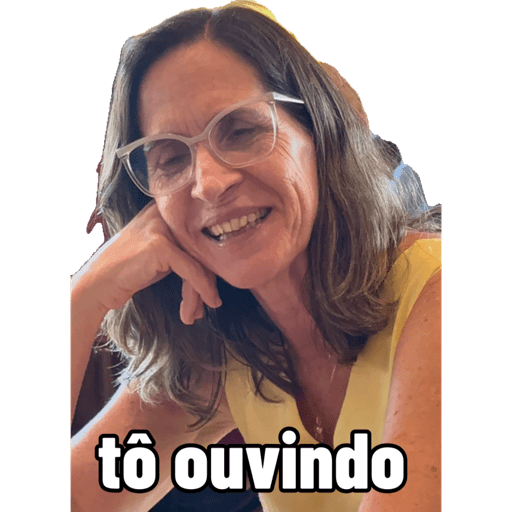 Minhas figurinhas 14