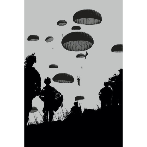 🇧🇷☠️ 18