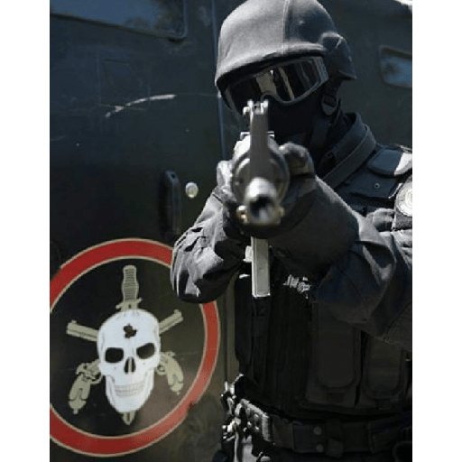 🇧🇷☠️ 9
