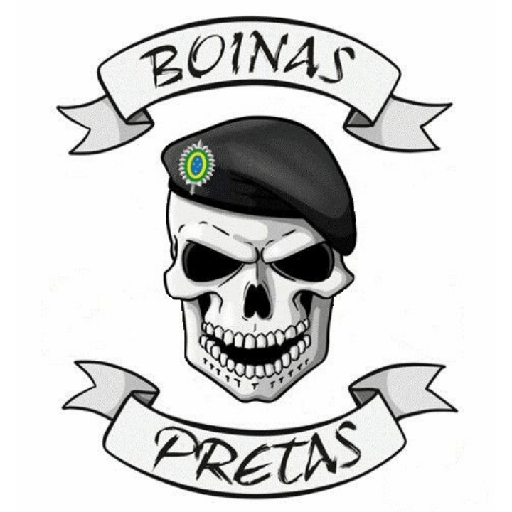 🇧🇷☠️ 21
