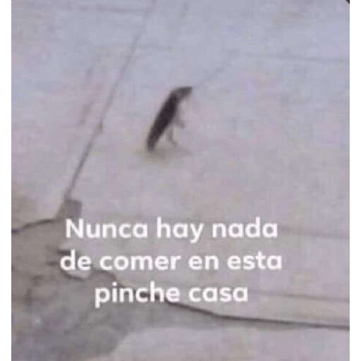 Meme 8