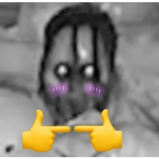 Meme 29