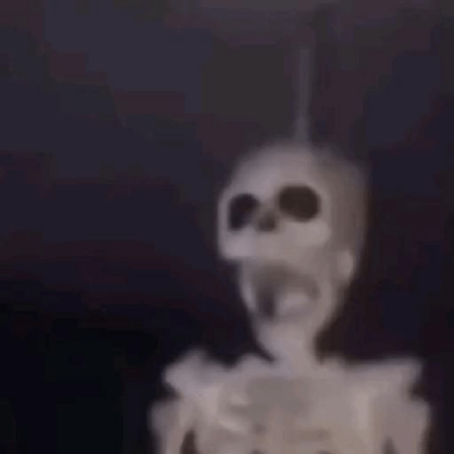 Meme 28