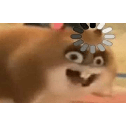 Meme 13