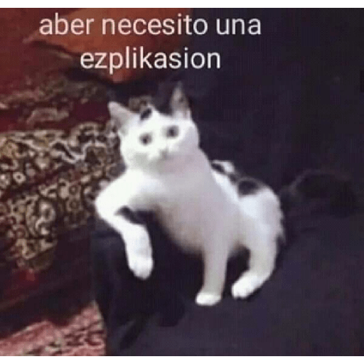 Meme 27
