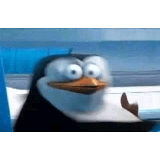 Meme 4