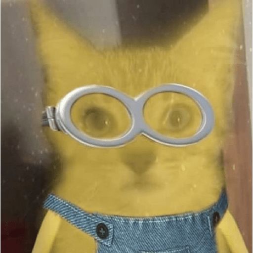 Meme 24