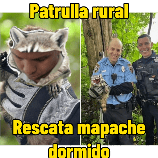 Mis pegatinas