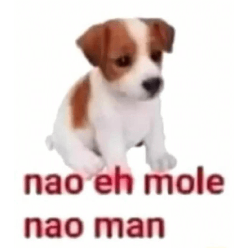 Sem endeusar: 😔 21