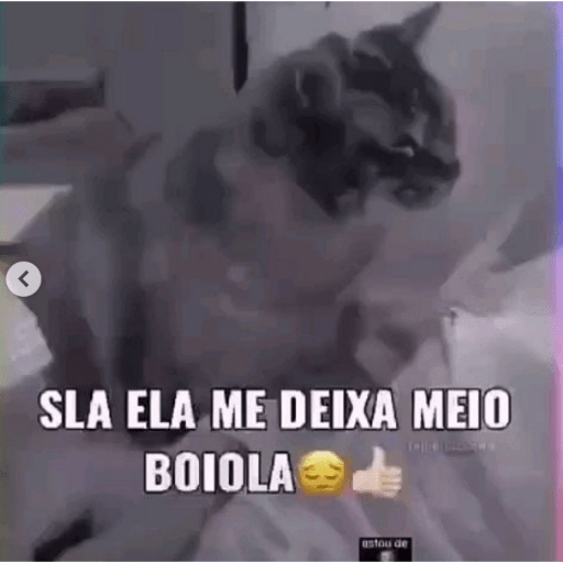 Bom dia 28