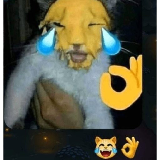 Kpop meme  29