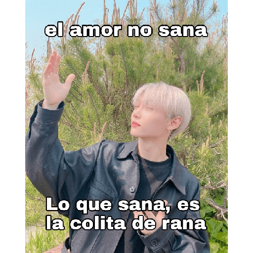 Kpop meme  6