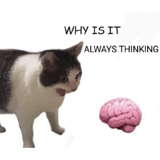 Cat meme 1