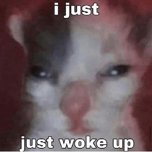 Cat meme 4