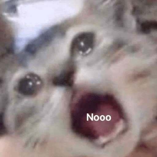 Cat meme 16
