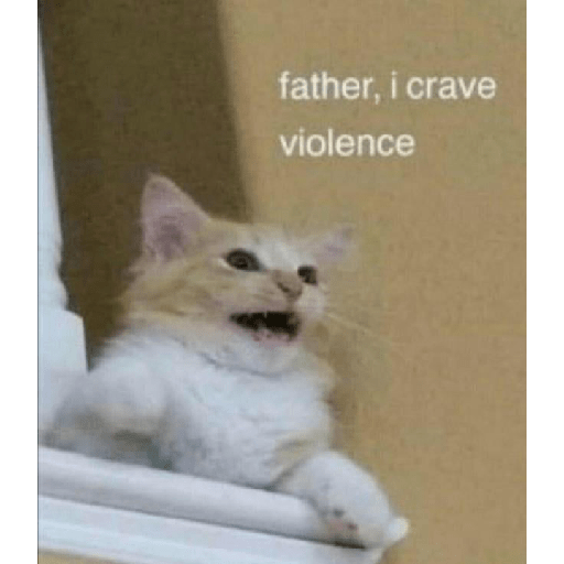 Cat meme 23