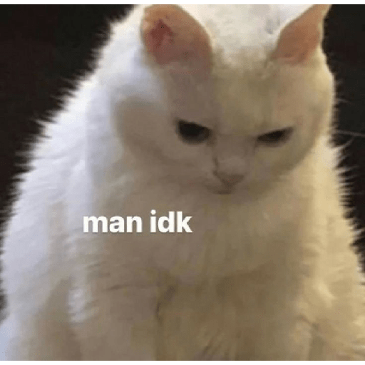 Cat meme 24