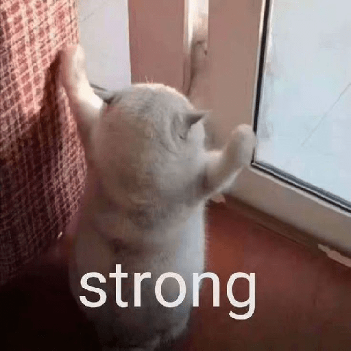 Cat meme 26