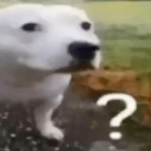 Meme anjing 11
