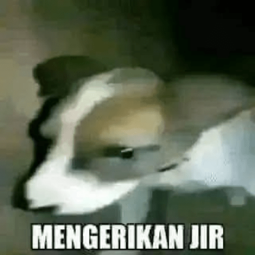 Meme anjing 10