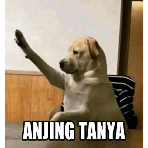 Meme anjing 8