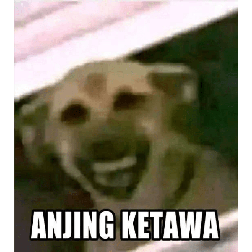 Meme anjing 7