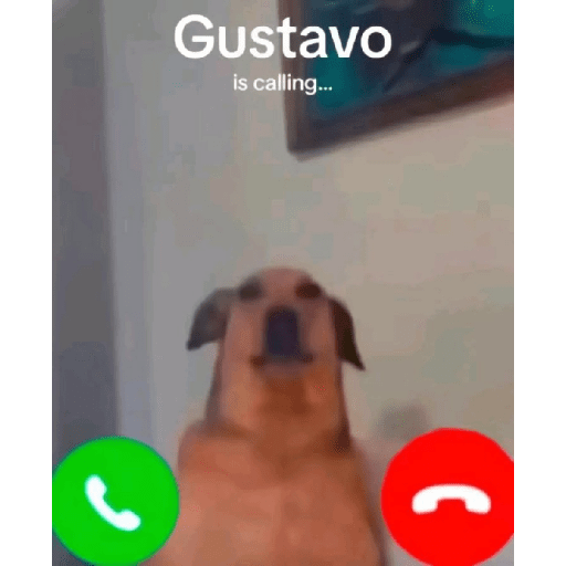 Meme anjing 6