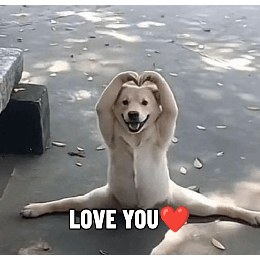 Meme anjing 5