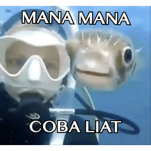 Meme random 2