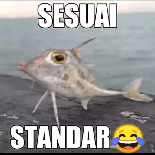 Meme random 3