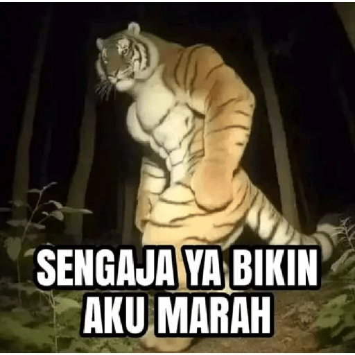 Meme random 4