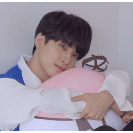 Wonwoo