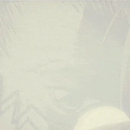 Vash 2