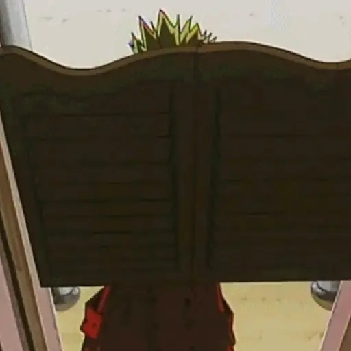 Vash 18
