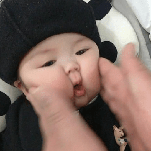 Japinha 13