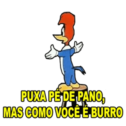 Pica Pau1 29
