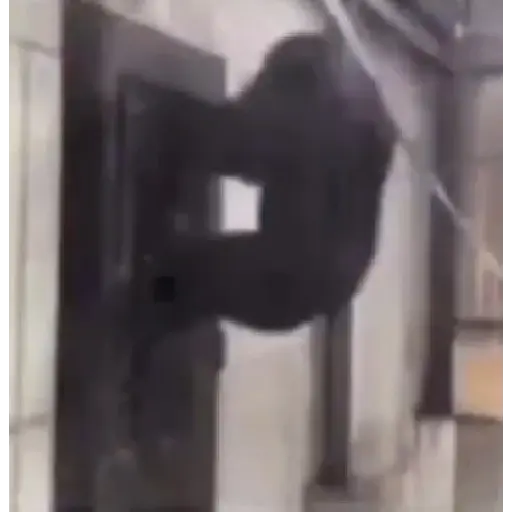 Cóctel de camarón 16