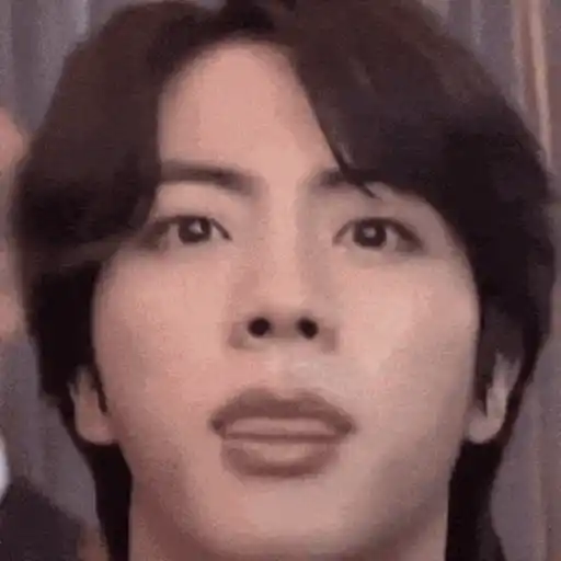 Seokjin 14