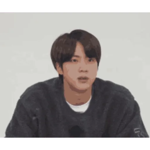 Seokjin 19