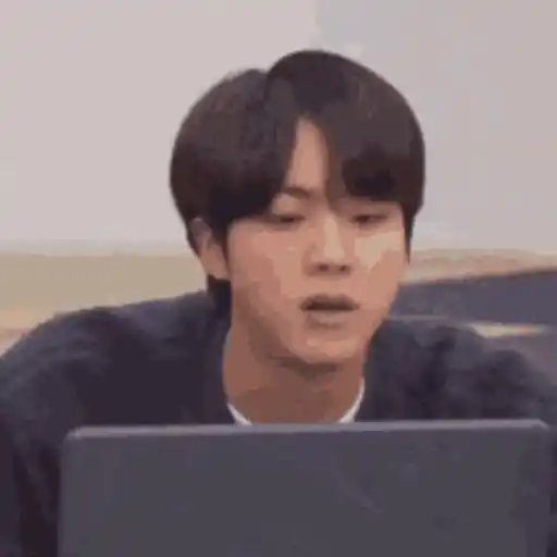 Seokjin 13
