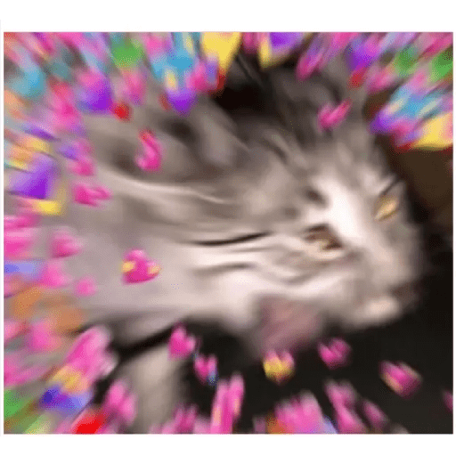 Gatos Kawaiis 6