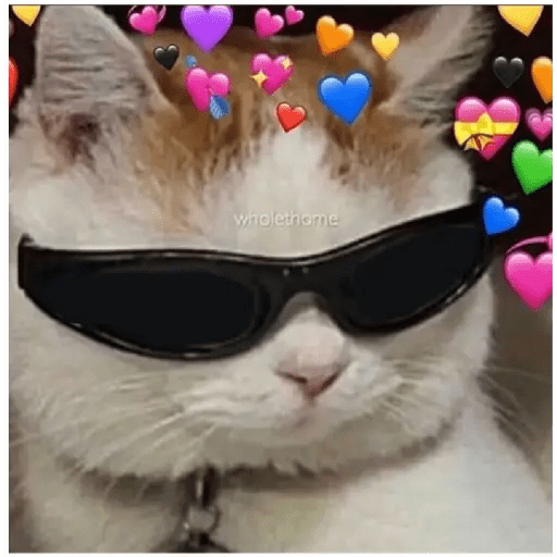 Gatos Kawaiis 9