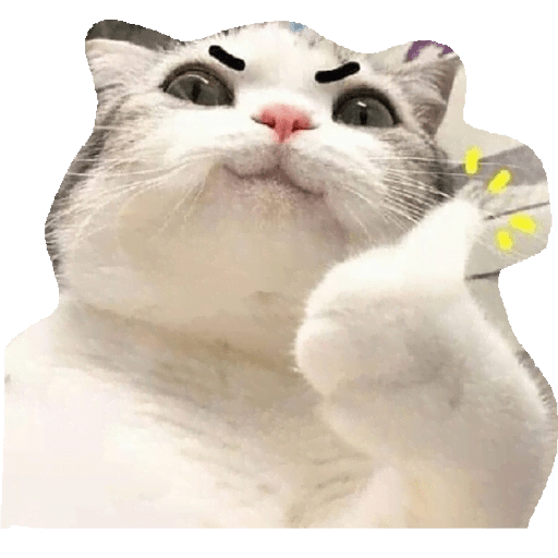 Gatos Kawaiis 10