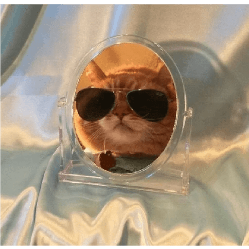 Gatos Kawaiis 22