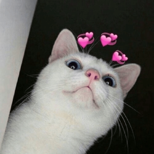 Gatos Kawaiis 1