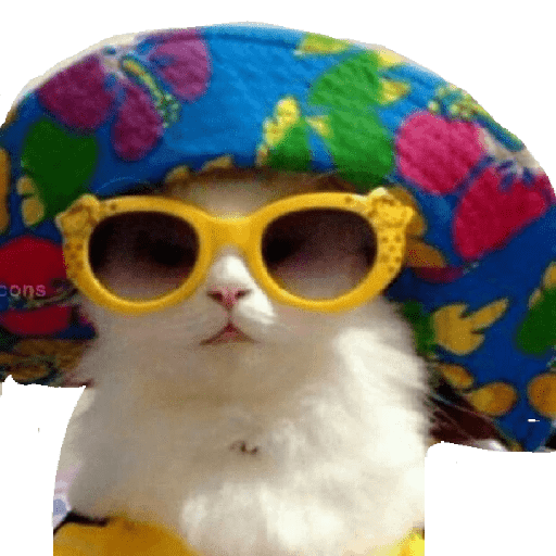 Gatos Kawaiis 25