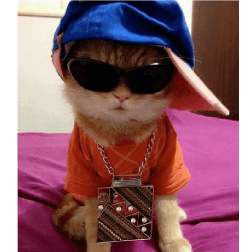 Gatos Kawaiis 23
