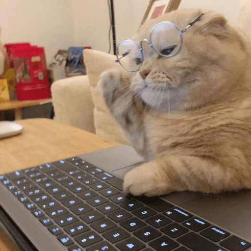 Gatitos 2.0 4